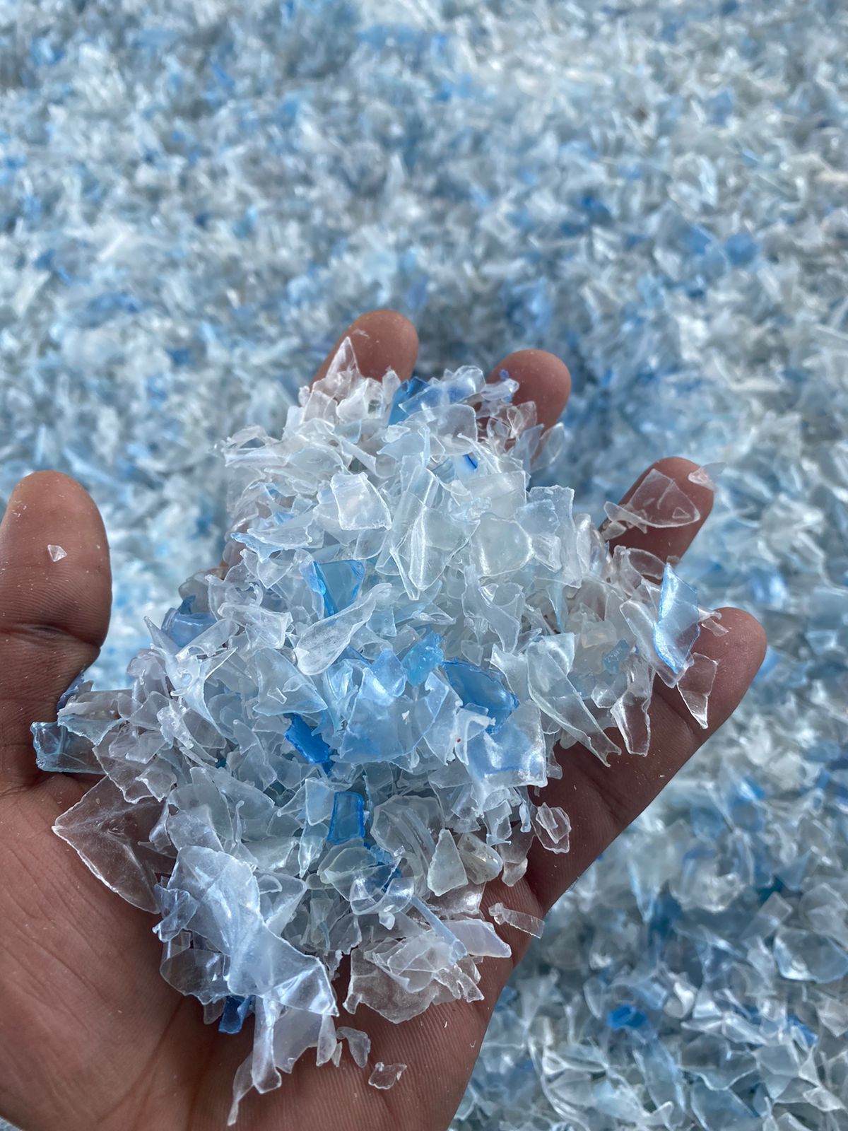 تصویر WhatsApp 2024-11-12 در 21.25.57